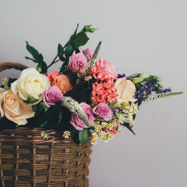 Çeşitlilik ve Kapsayıcılık